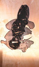 Alexander N&uuml;sslein, Cu-Tafel