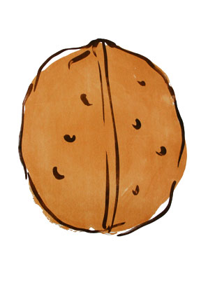 Claudia Shneider, Nu&szlig;ernte, Lithografie 2006